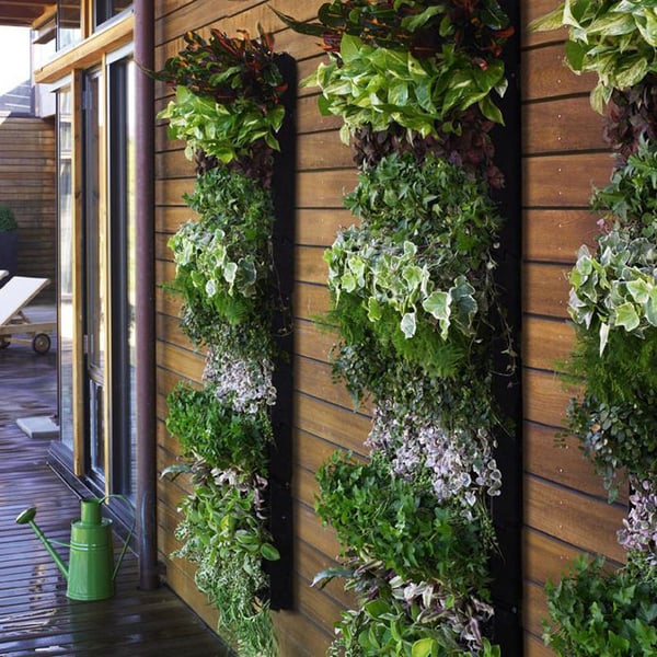 20 + Cool Vertical Garden Ideas 