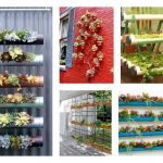 20 + Cool Vertical Garden Ideas