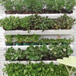 DIY Vertical Container Strawberry Planters