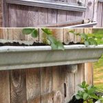 DIY Vertical Container Strawberry Planters—Rain gutters Strawberry Garden