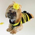 Bumble Bee Dog Sweater Free Crochet Pattern