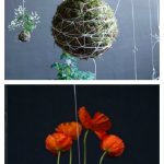 DIY Hanging String Garden