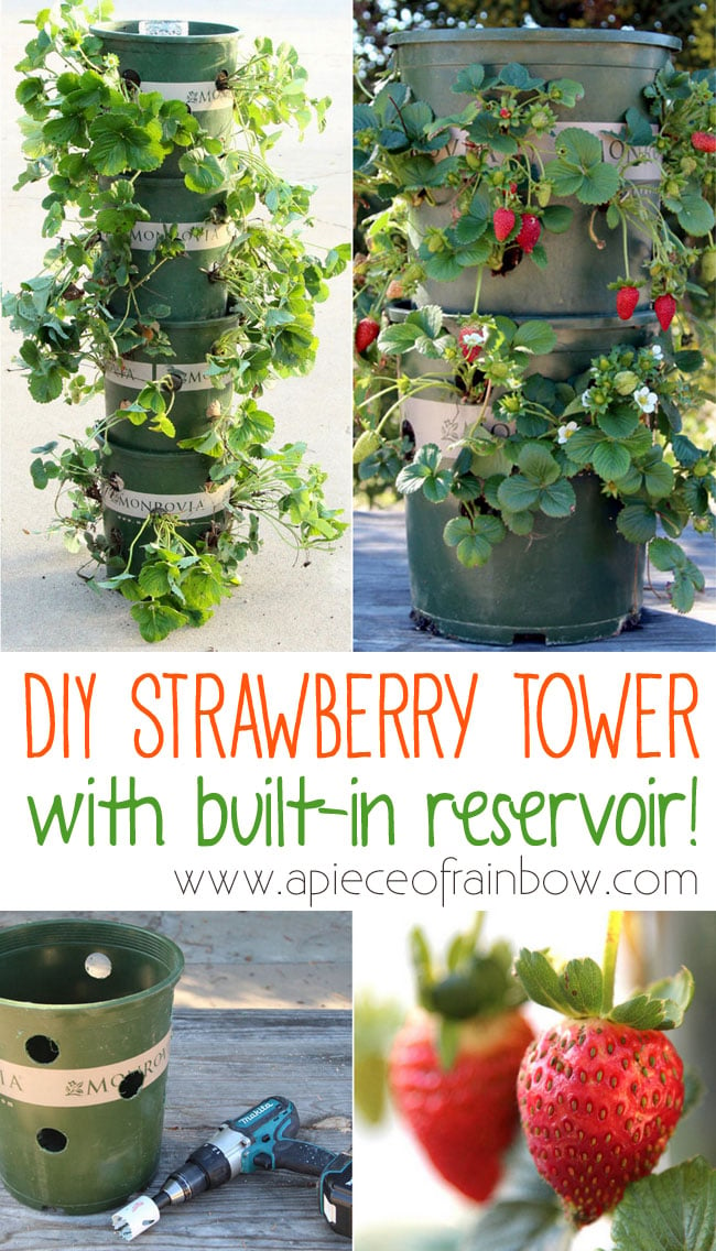 DIY Vertical Container Strawberry Planters---DIY Strawberry Tower