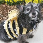 Dog’s Crochet Bumble Bee Costume Free Pattern