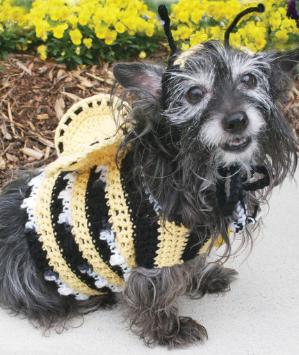 Dog's Crochet Bumble Bee Costume Free Pattern