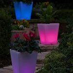 Glow-In-The-Dark Painted Planters