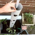 Grow sweet strawberry in a vertical PVC tube