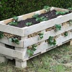 Lovely-Greens-pallet-planter-box