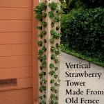 One-Hundred-Dollars-a-Month-strawberry-tower