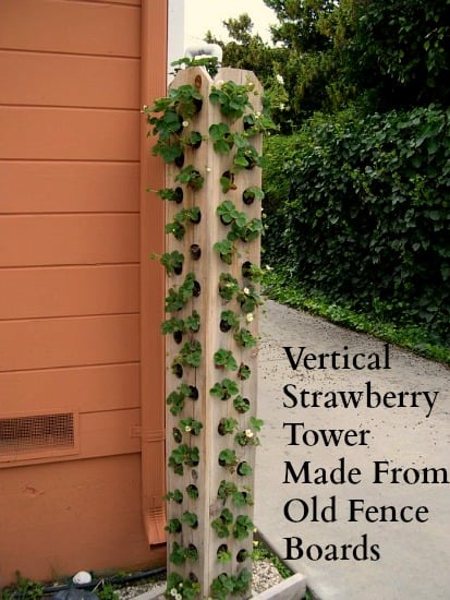 One-Hundred-Dollars-a-Month-strawberry-tower