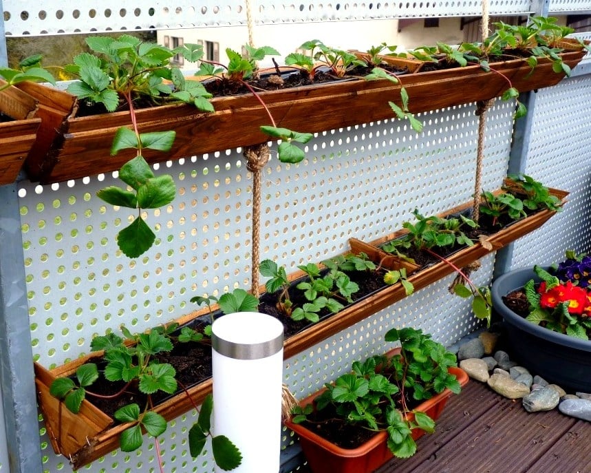 DIY Vertical Container Strawberry Planters