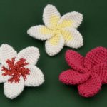 Hawaiian Plumeria Flower FREE Crochet Pattern