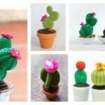 10+ Desert Cactus Amigurumi Crochet Patterns – Look Surprisingly Real