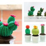 10+ Desert Cactus Amigurumi Crochet Patterns