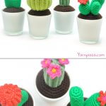 Cactus Amigurumi free Crochet pattern 1