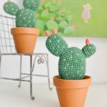 Cactus Amigurumi free Crochet pattern