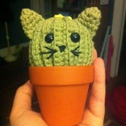 Cat Cactus amigurumi FREE Crochet Pattern
