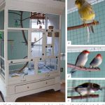 DIY Aviary from Old Armoire