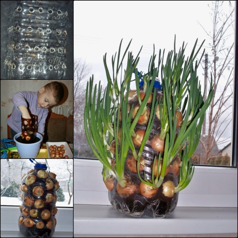 DIY Vertical Onion Tower Palnter out of Plastic Bottle