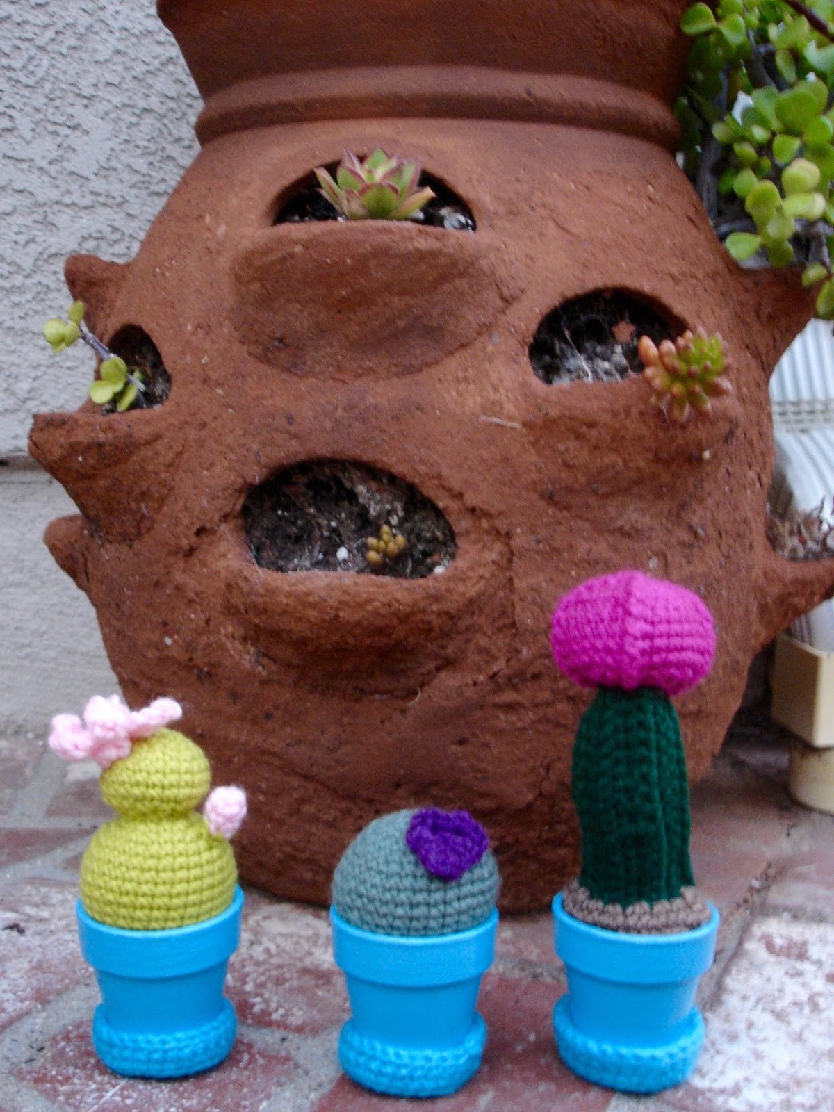 Mini Crocheted Cactus Garden Free Pattern