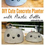 DIY Cute Concrete Planter  with Plastic Bottle