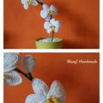 Crochet Orchid Flower Free Pattern and Video Tutorial