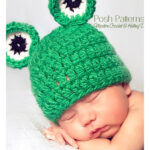 Baby Frog Hat Free Crochet Pattern