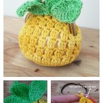 Crochet Pineapple Coin Purse Free Pattern