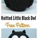 Knitted Little Black Owl Free Pattern