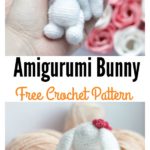 Crochet Amigurumi Bunny Free Pattern