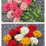 Carnation Flower Crochet Pattern and Video Tutorial