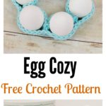 Crochet Egg Cozy / Cover Free Pattern