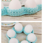 Egg Cozy Free Crochet Pattern