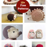 10+ Crochet Hedgehog Amigurumi Free Patterns