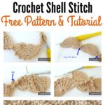 Crochet Shell Stitch Free Pattern and Tutorial