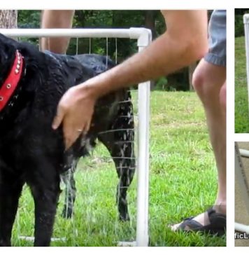DIY Custom Dog Washer Out of PVC Piping (Video)