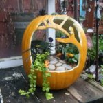 DIY Pumpkin Fairy Garden