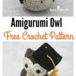 Adorable Crochet Amigurumi Graduation Owl Free Pattern