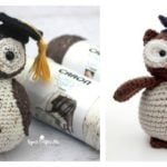 Adorable Crochet Amigurumi Graduation Owl Free Pattern