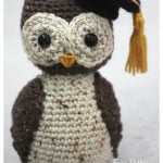 Wise Old Owl with Graduation Cap Free Crochet Pattern