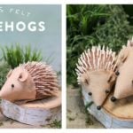 DIY Hedgehog Craft for Kids