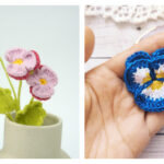 8 Pansy Flower Free Crochet Patterns