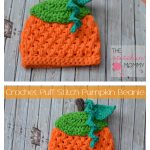 Puff Stitch Pumpkin Beanie Free Crochet Pattern