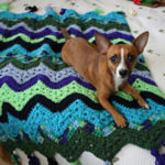 6-Day Kid Blanket Free Crochet Pattern and Video Tutorial