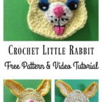 Little Rabbit Free Crochet Pattern and Video Tutorial