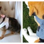 Dog Harness Crochet Patterns