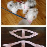 Easy Dog Harness Free Crochet Pattern