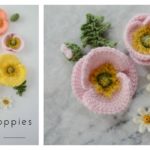 Iceland Poppy Free Crochet Pattern