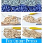 Shell Stitch Free Crochet Pattern