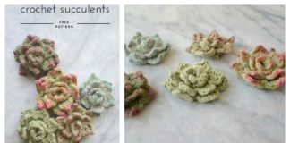 Succulents Free Crochet Pattern